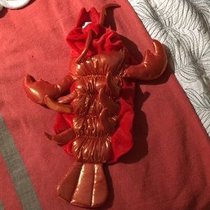 Dog Lobster Costume. Size Medium.
